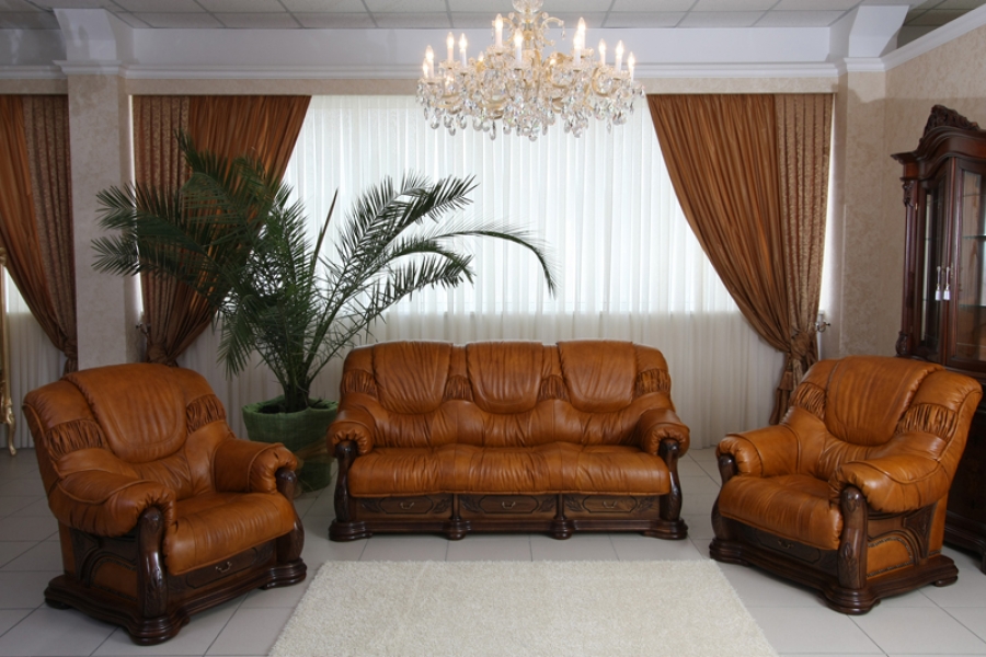 Комплект мягкой мебели (диван раскладной, кресло, кресло) «Триумф»